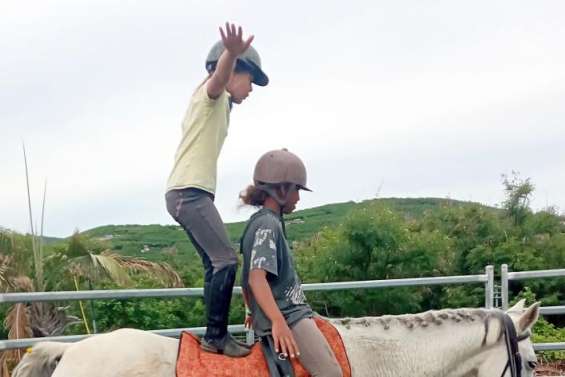 De nouvelles activités équestres accessibles à tous à Nouville