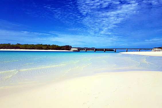 Un homme attaqué par un requin à Ouvéa