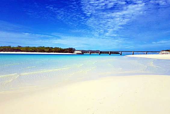 Un requin attaque un pêcheur à Ouvéa