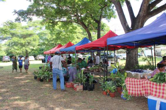 Premier grand marché océanien de l'année à Koné