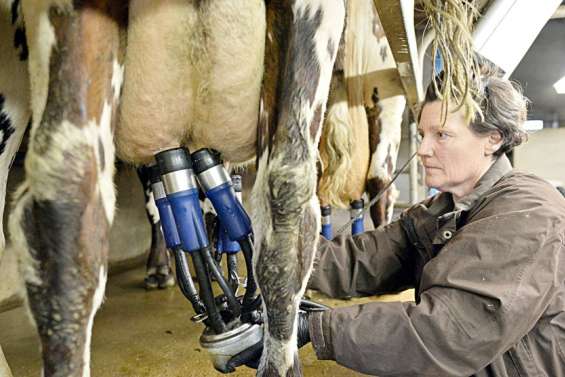 Lactalis prévoit de mieux payer le lait aux éleveurs