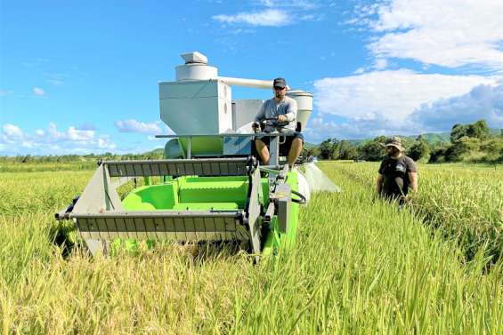 [GROS PLAN] Pourra-t-on produire un riz local ?