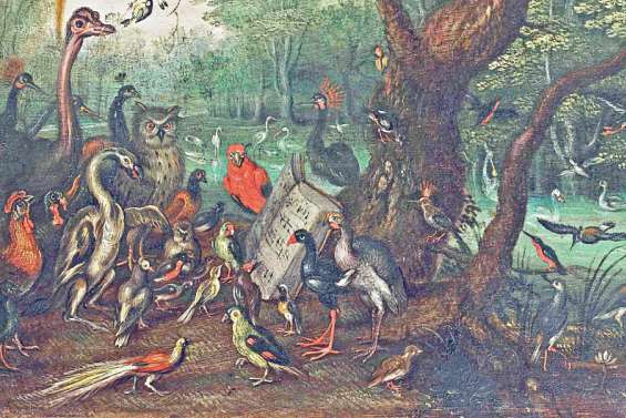 Le conservatoire à vol d'oiseau