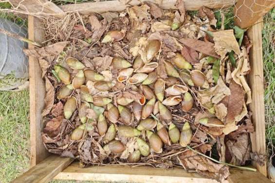 Comme à l'état sauvage.