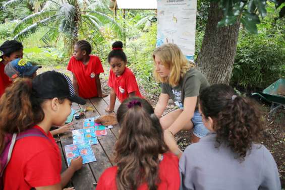 Des collégiens vont participer à un projet international sur l'environnement