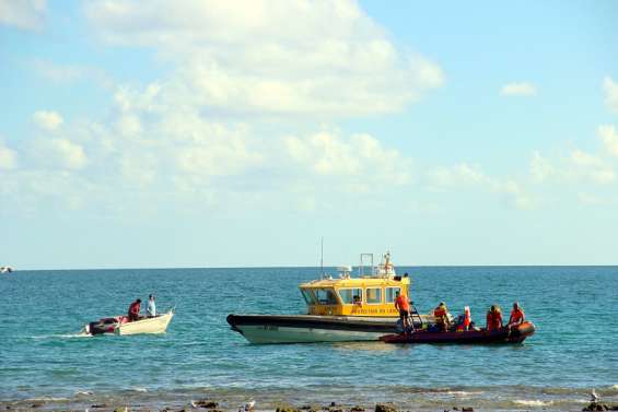 Après l’attaque d’un pêcheur, la province Sud autorise une opération de capture de requins à Nouville