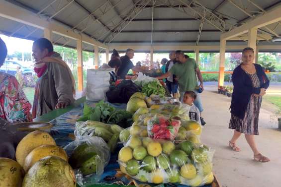 L’Isee passe au crible les dépenses des ménages calédoniens
