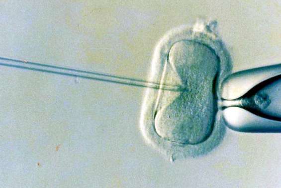 La procréation médicalement assistée à l'arrêt pour plusieurs mois