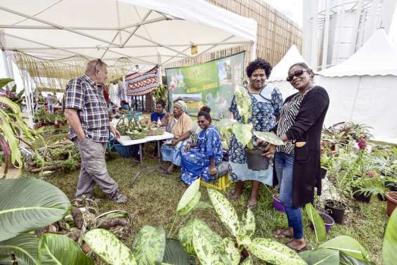 Après le salon Évasion Sud, les Loyautés veulent aussi booster le tourisme