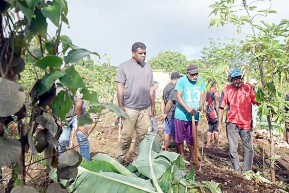Les agriculteurs de Nengone découvrent l'agroforesterie à Kurine