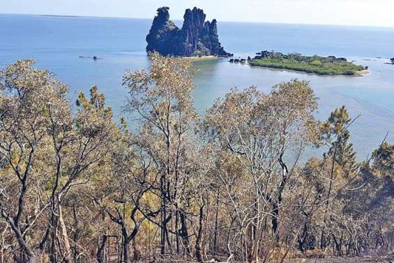 Hienghène : un homme retrouvé mort sur le bas-côté de la route