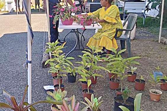 Un marché pour trouver l'inspiration pour la fête des Mères