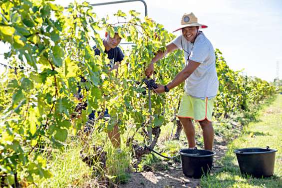 Les vins de Rangiroa récompensés