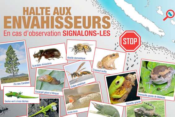 Espèces envahissantes : 