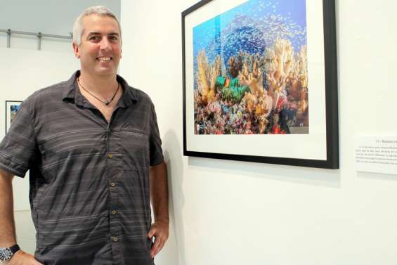 Des clichés des merveilles des récifs d'Entrecasteaux