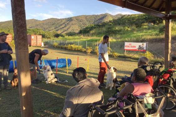 Des chiens redonnent le sourire aux retraités