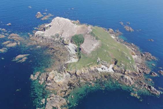 Aux Sept-Îles, un équilibre fragile entre hommes et protection de la nature