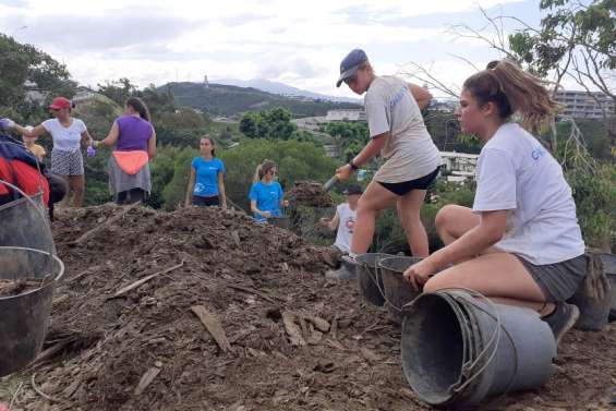 L'activité reprend sur la colline avec une plantation menée par Caledoclean et la FOL