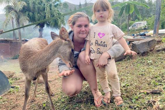 À Mouirange, les animaux de la ferme ont trouvé leur refuge