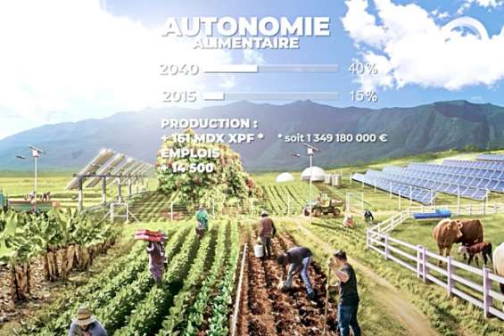 Économie : ces six secteurs qui pourraient dessiner la Calédonie de demain