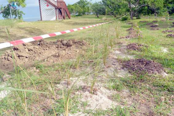 Le vétiver à l’essai pour lutter contre l’érosion du littoral de Poé