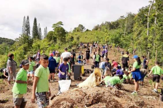 Une journée de la filière bois et construction durable