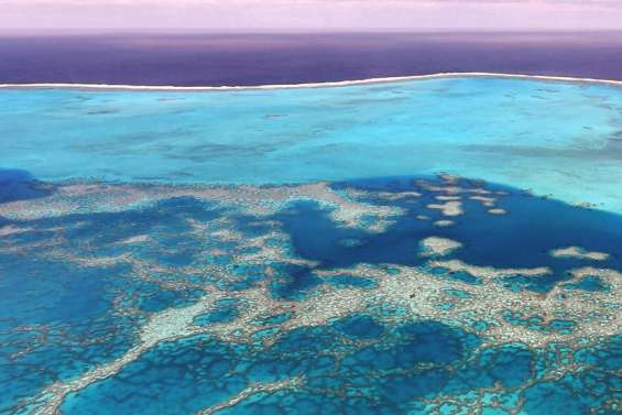 Des concertations sur la pêche dans la ZCO