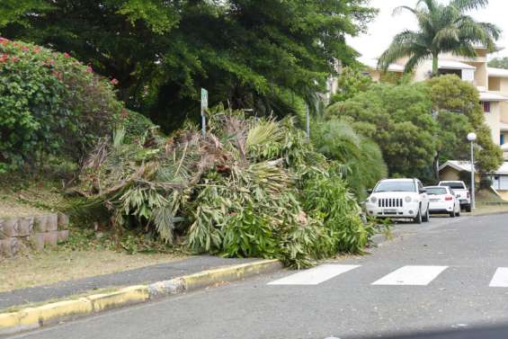 Déchets verts : un service de broyage à domicile sera bientôt proposé aux Mondoriens