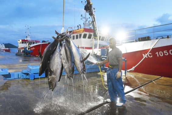 Pêcheurs calédoniens, une campagne 