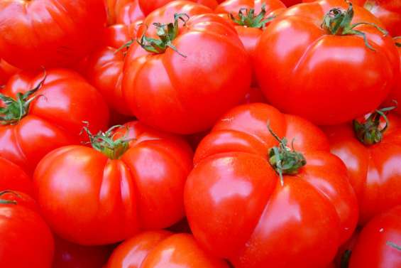 L'importation de tomates néo-zélandaises suspendue