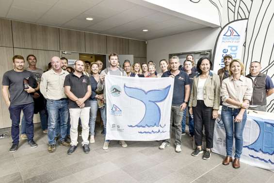 L'observation des baleines, une pratique soumise à des règles