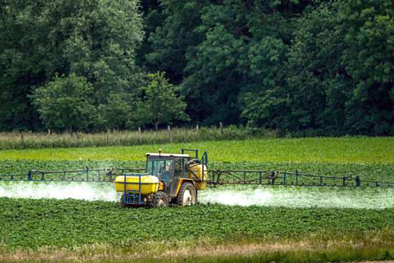 Pesticides : le lien se précise pour six maladies graves