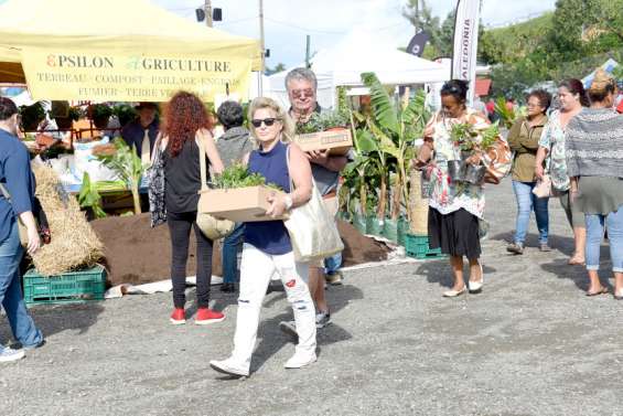 Le jardin en fête ce week-end à Nouville