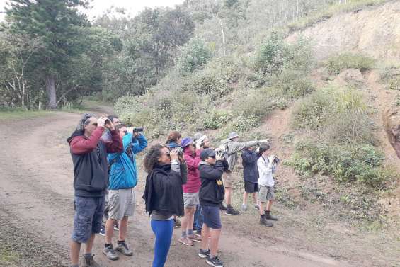 Un week-end bien rempli au parc des Grandes Fougères