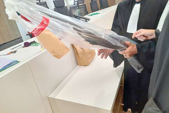 Homicide d'Ognat : panique ou volonté ?