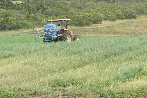 La province Sud inventorie les produits phytosanitaires non utilisés