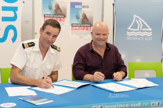 Un numéro gratuit pour signaler des mammifères marins  en détresse