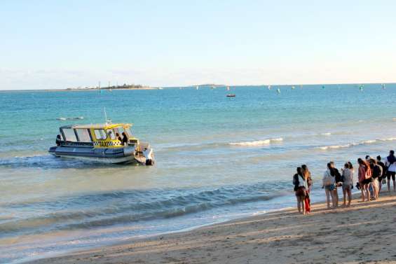 Requins, Covid, météo : les activités de plage ont du mal à sortir la tête de l'eau