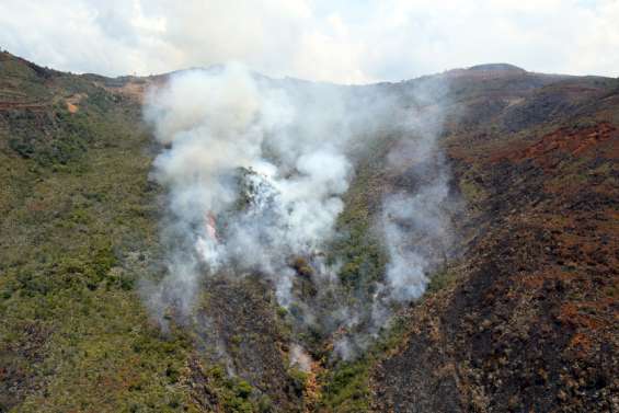 Pour 2019, le coût de la restauration écologique des incendies est estimé à 77 milliards