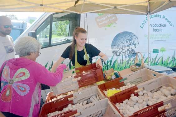 Au nouveau marché municipal, les producteurs locaux se font désirer