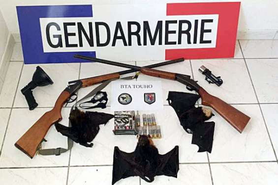 Deux braconniers arrêtés à Poindimié