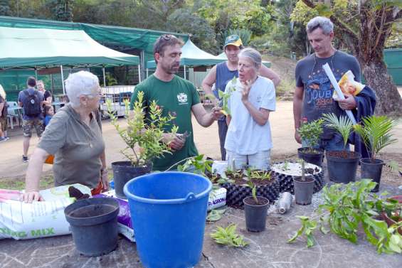 Nouméa : conseils et nouveautés font germer les idées à la 3e Fête de l'agriculture urbaine