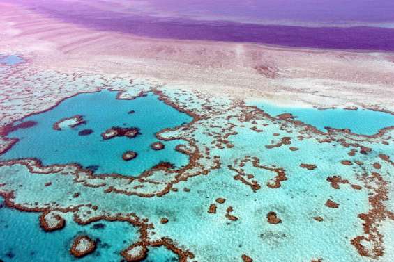 La Grande Barrière évite le déclassement de l'Unesco