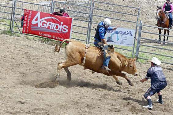 Païta : la Fête du bœuf n'aura pas lieu cette année