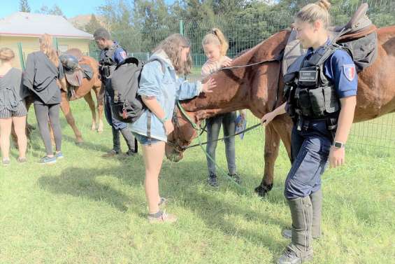 Mont-Dore : un forum de l'emploi pour réfléchir à son orientation dès le collège