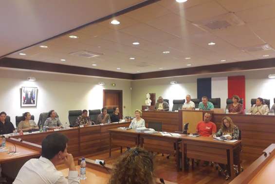 Les conséquences du Oui et du Non abordées au conseil municipal