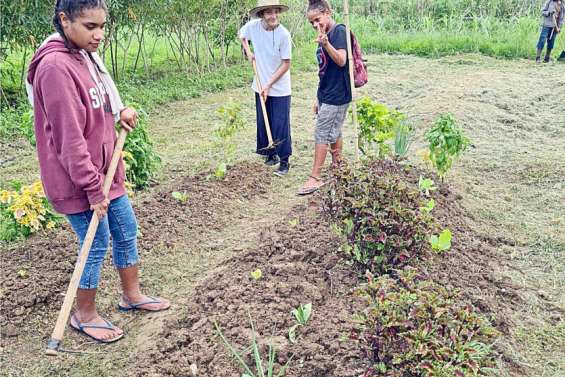 Bientôt une Maison familiale et rurale en province Sud