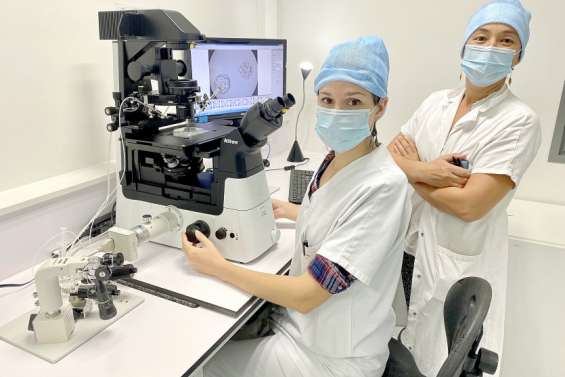 L'espoir d'une reprise en novembre de l'assistance médicale à procréation