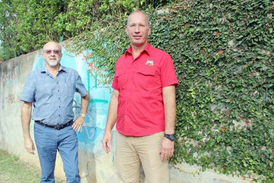 Du faux lierre pour cacher la misère sur les murs tagués et dégradés