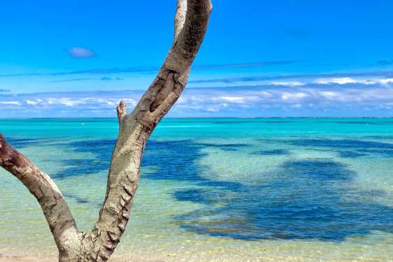 Prison avec sursis pour pêche illégale à Poé